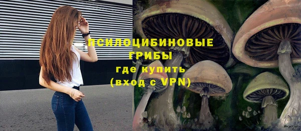 дурь Володарск