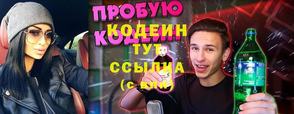 скорость Вяземский