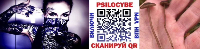 Галлюциногенные грибы Cubensis  что такое наркотик  Заволжье 